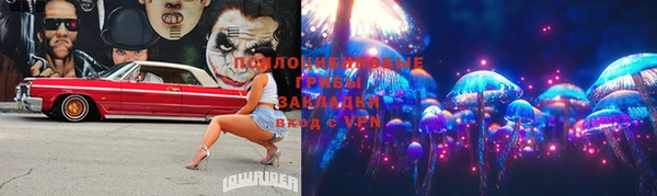 молекула духа Балахна