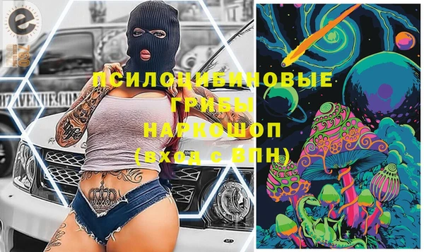 молекула духа Балахна