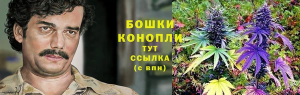 тгк Балабаново