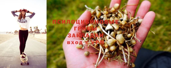 тгк Балабаново